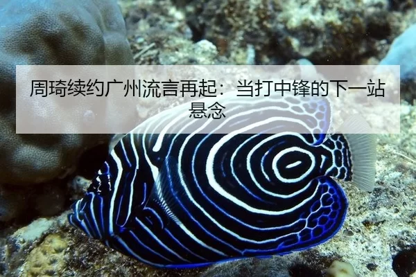 周琦续约广州流言再起：当打中锋的下一站悬念